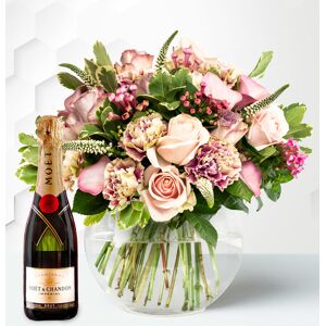 Prestige Flowers Orion & Moet