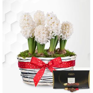 Prestige Flowers Winter Hyacinth Basket with Luxury Chocs