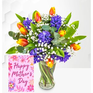 Prestige Flowers Hyacinth & Tulips with Card