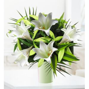 Prestige Flowers White Lilies