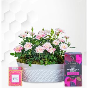 Prestige Flowers Spring Roses Gift