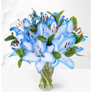 Prestige Flowers Ocean Lilies  - Blue Lilies - Flower Delivery - Flowers By Post - Send Flowers - Next Day Flowers