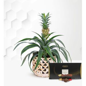 Prestige Flowers Golden Pineapple with Luxury Chocs