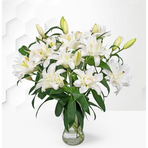 Prestige Flowers Double-Flowering Lilies - White Lilies Bouquet - Flower Delivery - Next Day Flower Delivery - Flowers By Post - Send Flowers