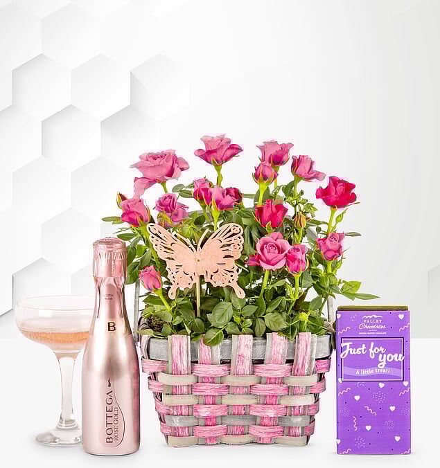 Prestige Flowers Rose and Bottega Basket - Pink Rose Plant - Birthday Gifts - Birthday Gift Delivery - Plant Gifts - Plant Gift Delivery