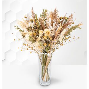 Prestige Flowers Natural Dried Flowers