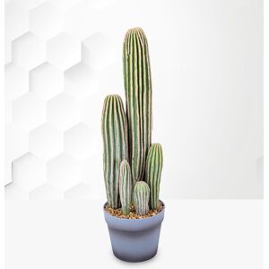 Prestige Flowers Potted Faux Cactus 23inch