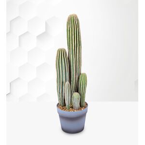 Prestige Flowers Potted Faux Cactus 23inch