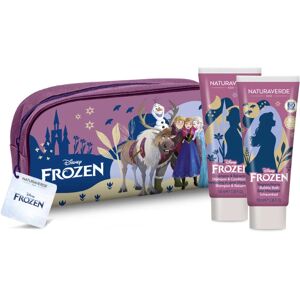 Disney Frozen Beauty Case gift set (for children)