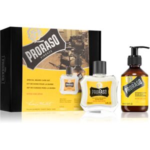 Proraso Set Beard Classic gift set Wood and Spice M