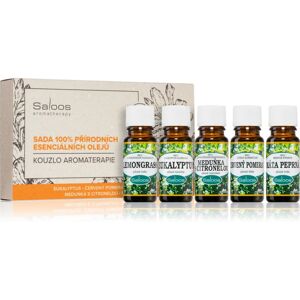 Saloos Aromatherapy Magic Of Aromatherapy set (with essential oils)