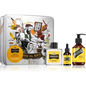 Proraso Wood and Spice set for beard Proraso Wood and Spice set for beard