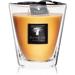 Baobab Collection All Seasons Zanzibar Spices scented candle 16 cm