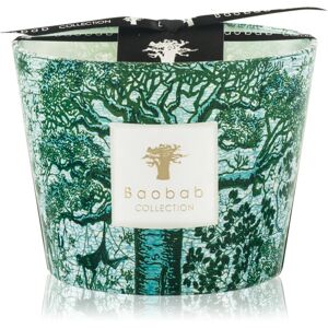 Baobab Collection Sacred Trees Kamalo scented candle 10 cm