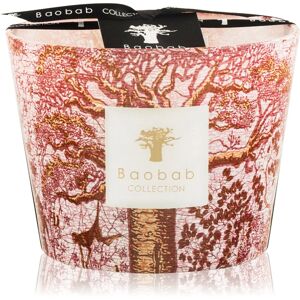 Baobab Collection Sacred Trees Woroba scented candle 10 cm