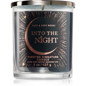 Bath & Body Works Into The Night scented candle 227 g
