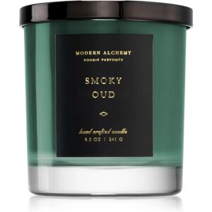 DW Home Modern Alchemy Smoky Oud scented candle 241 g