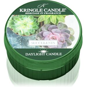 Kringle Candle Succulents tealight candle 42 g