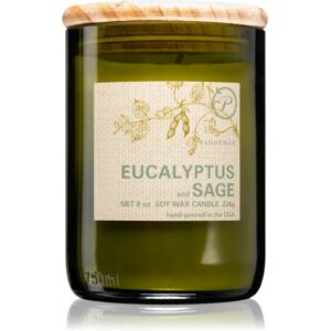 Paddywax Eco Green Eucalyptus & Sage scented candle 226 g