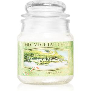 THD Vegetal Muschio Di Montagna scented candle 100 g