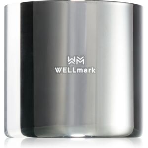 Wellmark Bold Future scented candle 1 pc