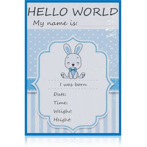 KidPro Milestone Cards Bunny For a Boy milestone cards