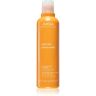 Aveda Sun Care Hair and Body Cleanser 2-in-1 shampoo and shower gel for hair damaged by chlorine, sun & salt 250 ml