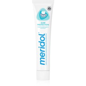 Meridol Gum Protection toothpaste supporting regeneration of irritated gums 75 ml