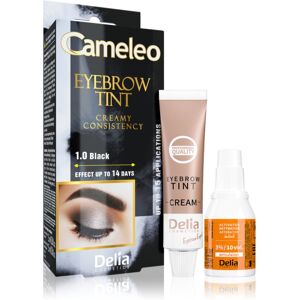 Delia Cosmetics Cameleo professional cream eyebrow dye ammonia-free shade 1.0 Black 15 ml Delia Cosmetics Cameleo professional cream eyebrow dye ammonia-free shade 1.0 Black 15 ml