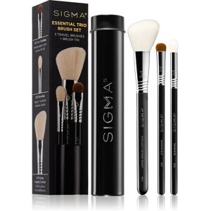 Sigma Beauty Essential mini brush set for the face Sigma Beauty Essential mini brush set for the face