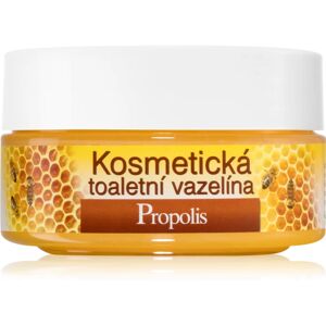 Bione Cosmetics Honey + Q10 cosmetic vaseline 155 ml