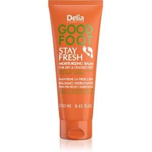 Delia Cosmetics Good Foot Stay Fresh moisturising balm for legs 250 ml