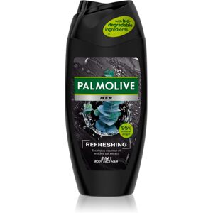 Palmolive Men Refreshing shower gel M 2-in-1 M 250 ml