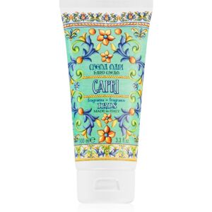 Rudy - Le Maioliche Capri Iris moisturising hand cream 100 ml Rudy - Le Maioliche Capri Iris moisturising hand cream 100 ml