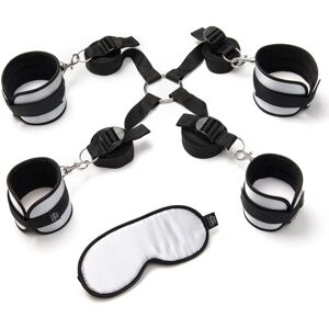 Fifty Shades Hard Limits BDSM toys