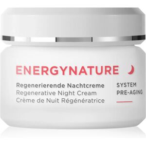 ANNEMARIE BÖRLIND ENERGYNATURE regenerating night cream 50 ml