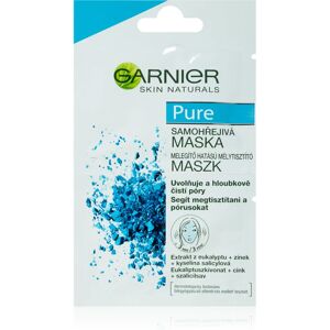 Garnier Pure face mask for problem skin, acne 2x6 ml