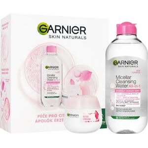 Garnier Skin Naturals gift set (with a brightening effect)