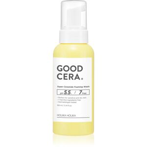 Holika Holika Good Cera exfoliating foam cleanser with ceramides 160 ml