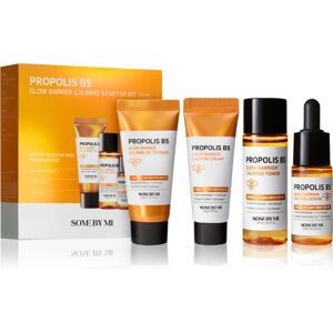 Some By Mi Propolis B5 Glow Barrier set (for radiance and hydration)