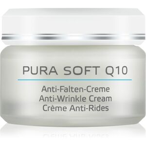 ANNEMARIE BÖRLIND PURA SOFT Q10 anti-wrinkle moisturiser 50 ml ANNEMARIE BÖRLIND PURA SOFT Q10 anti-wrinkle moisturiser 50 ml