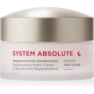 ANNEMARIE BÖRLIND SYSTEM ABSOLUTE regenerating night cream with anti-ageing effect 50 ml ANNEMARIE BÖRLIND SYSTEM ABSOLUTE regenerating night cream with anti-ageing effect 50 ml