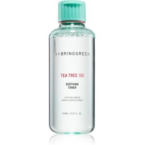 BRINGGREEN Tea Tree Cica Soothing Toner soothing toner with moisturising effect 250 ml BRINGGREEN Tea Tree Cica Soothing Toner soothing toner with moisturising effect 250 ml