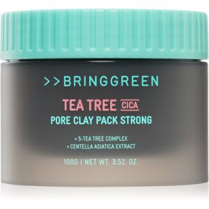 BRINGGREEN Tea Tree Cica Pore Clay Pack Strong cream mask for oily acne-prone skin 100 g BRINGGREEN Tea Tree Cica Pore Clay Pack Strong cream mask for oily acne-prone skin 100 g