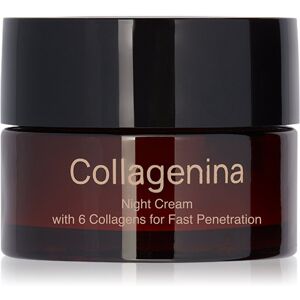 Collagenina Grade 1 Night Cream firming night cream with collagen 50 ml Collagenina Grade 1 Night Cream firming night cream with collagen 50 ml