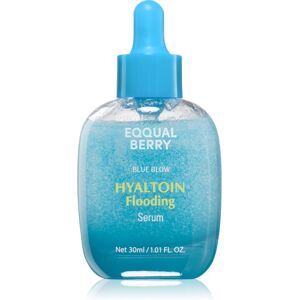EQQUALBERRY Hyaltoin Flooding Serum moisturising face serum with cooling effect 30 ml EQQUALBERRY Hyaltoin Flooding Serum moisturising face serum with cooling effect 30 ml