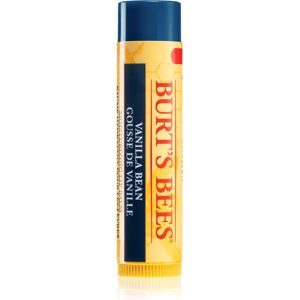 Burt’s Bees Lip Care moisturising lip balm with vanilla 4.25 g