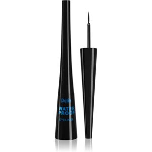 Delia Cosmetics Shape Master Liquid Eyeliner Shade Black 4 ml