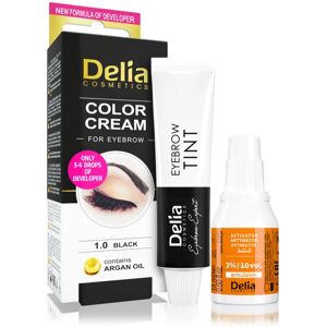 Delia Cosmetics Argan Oil brow colour shade 1.0 Black 15 ml