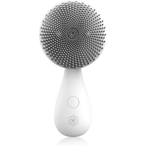 Diforo Arum skin cleansing brush Gold